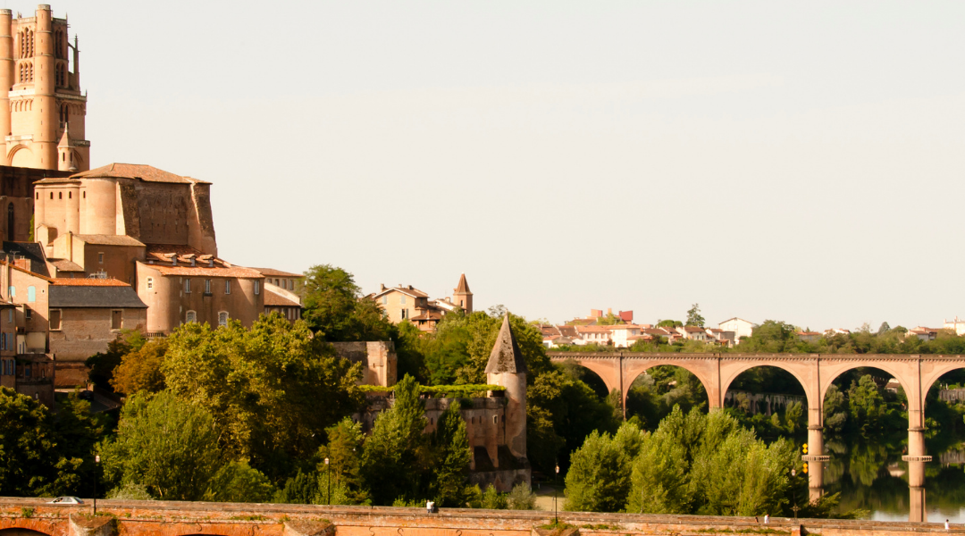 Investissement locatif à Albi : comment réussir son projet ?