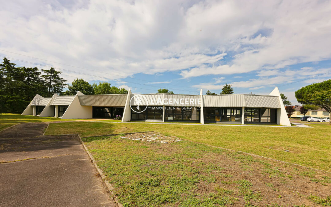 Immobilier Professionnel à vendre Albi