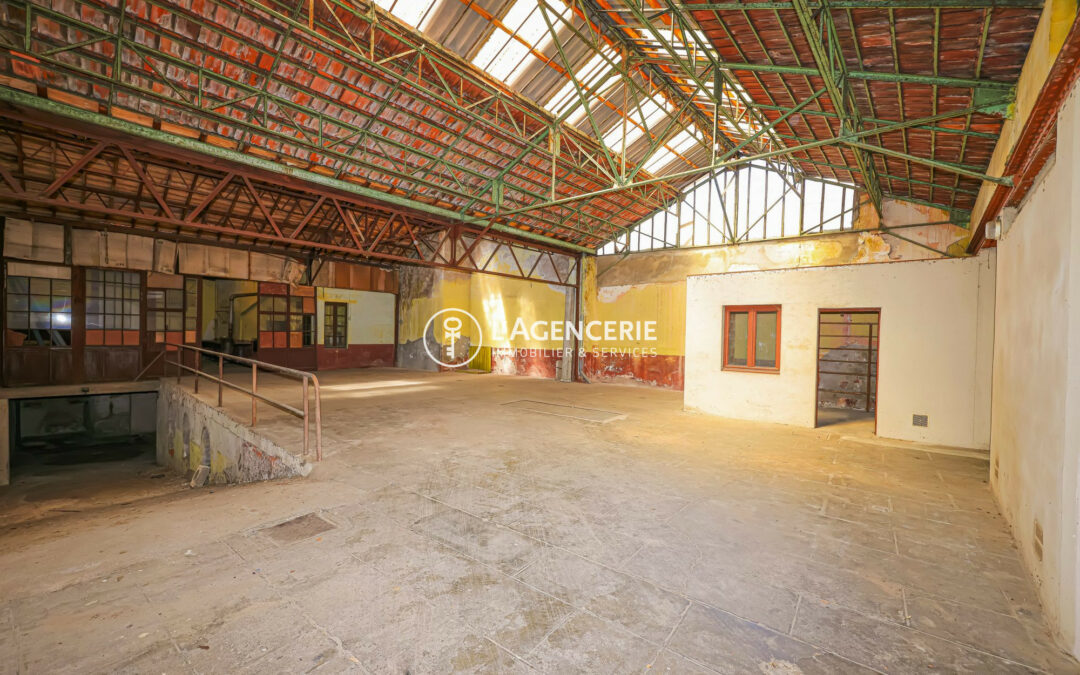 Albi Immeuble à fort potentiel
