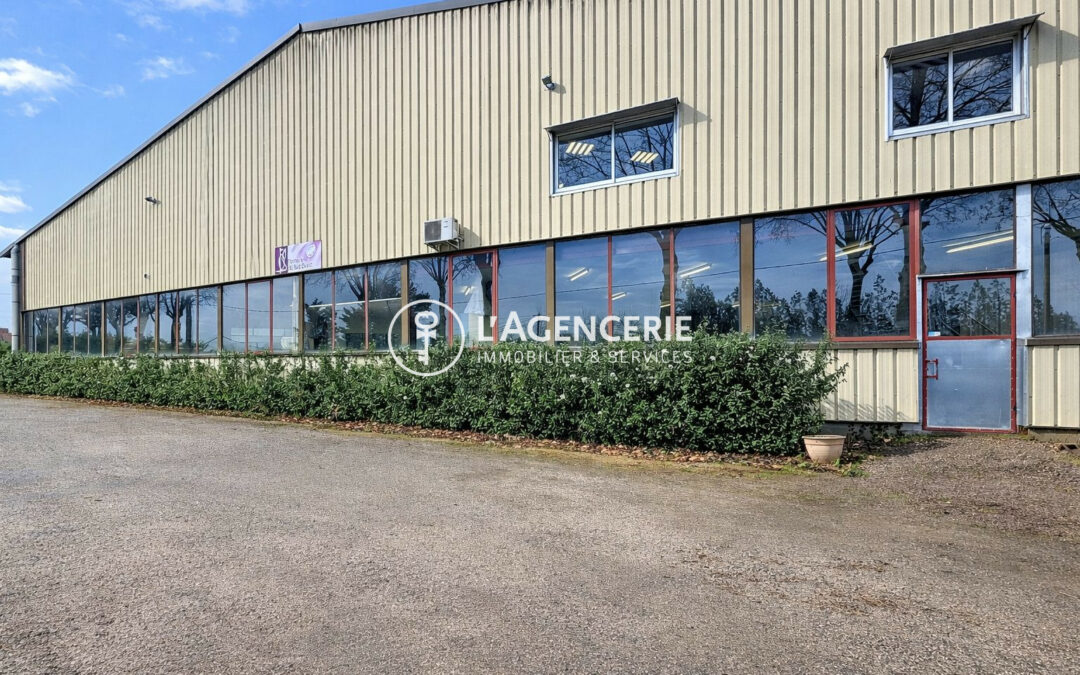 Immobilier Professionnel à vendre Gaillac