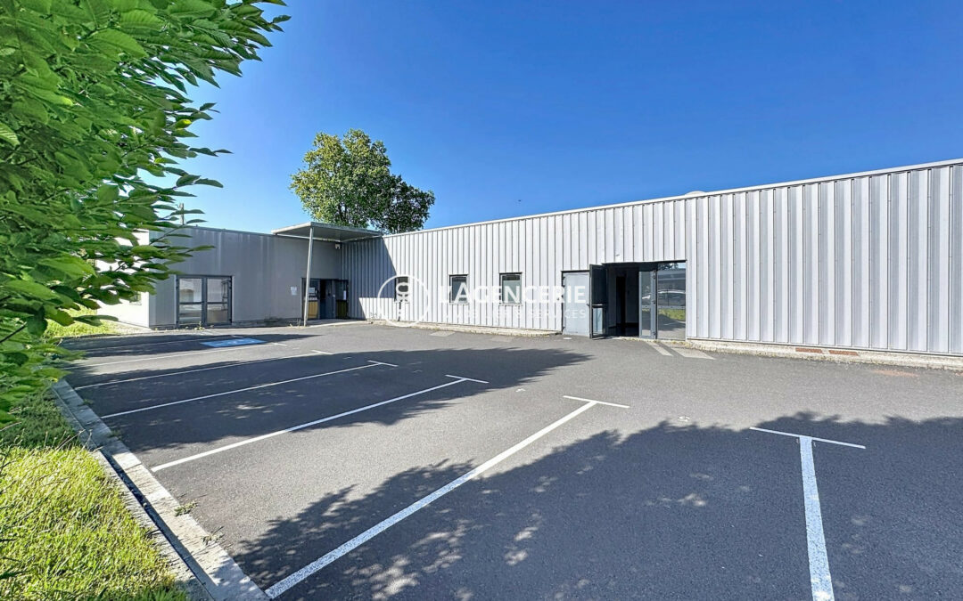 Immobilier Professionnel à louer Terssac