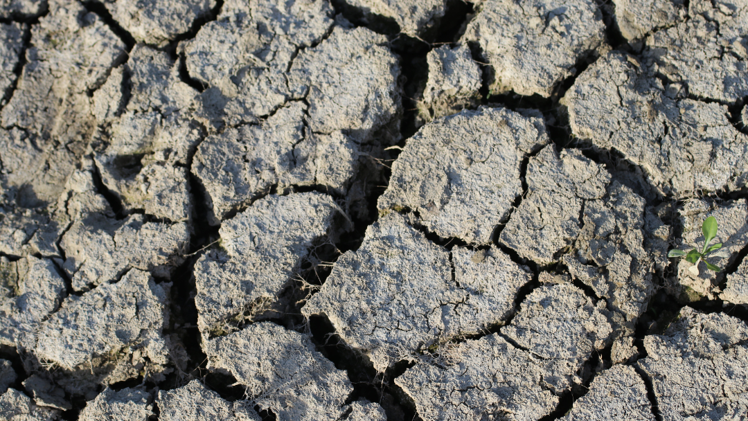 Illustration réchauffement climatique