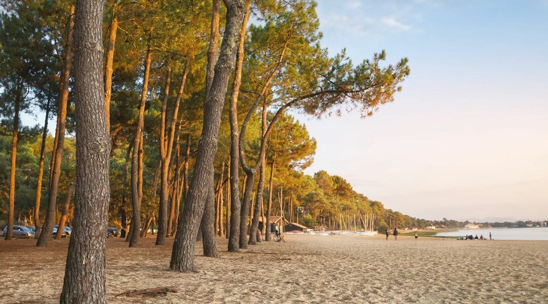 Vivre à Hossegor : la ville idéale des Landes