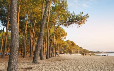 Vivre à Hossegor : la ville idéale des Landes