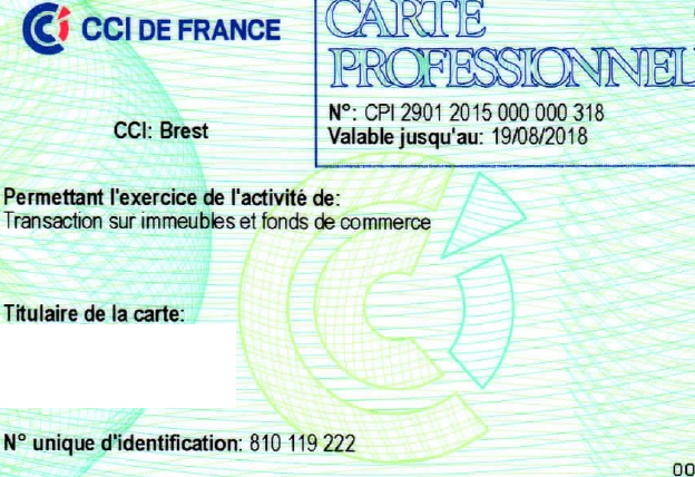 L'exemple d'une carte professionnelle