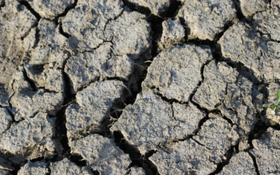 Le Sud-Ouest face au dérèglement climatique : Comment adopter son projet immobilier ?