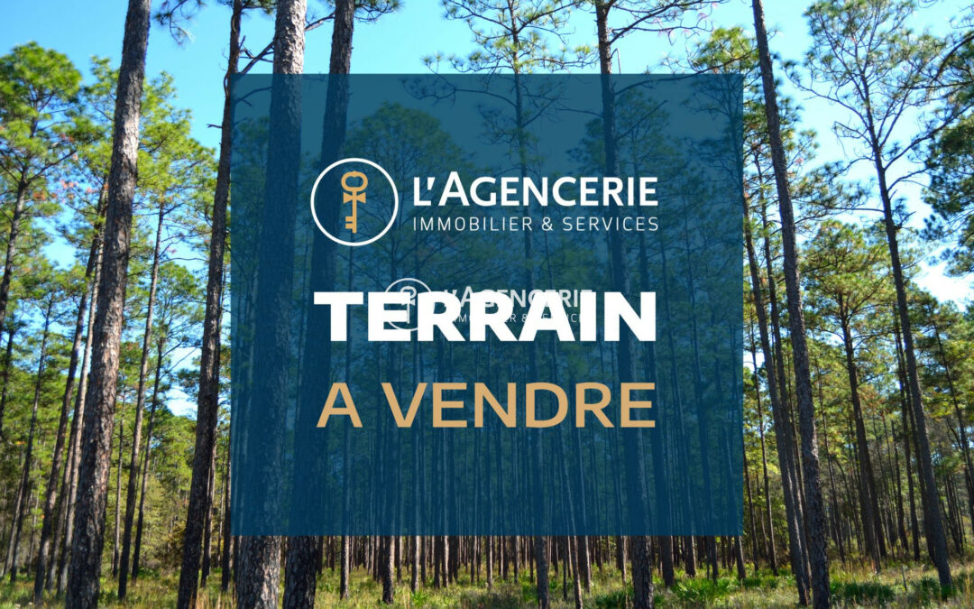 Terrain constructible