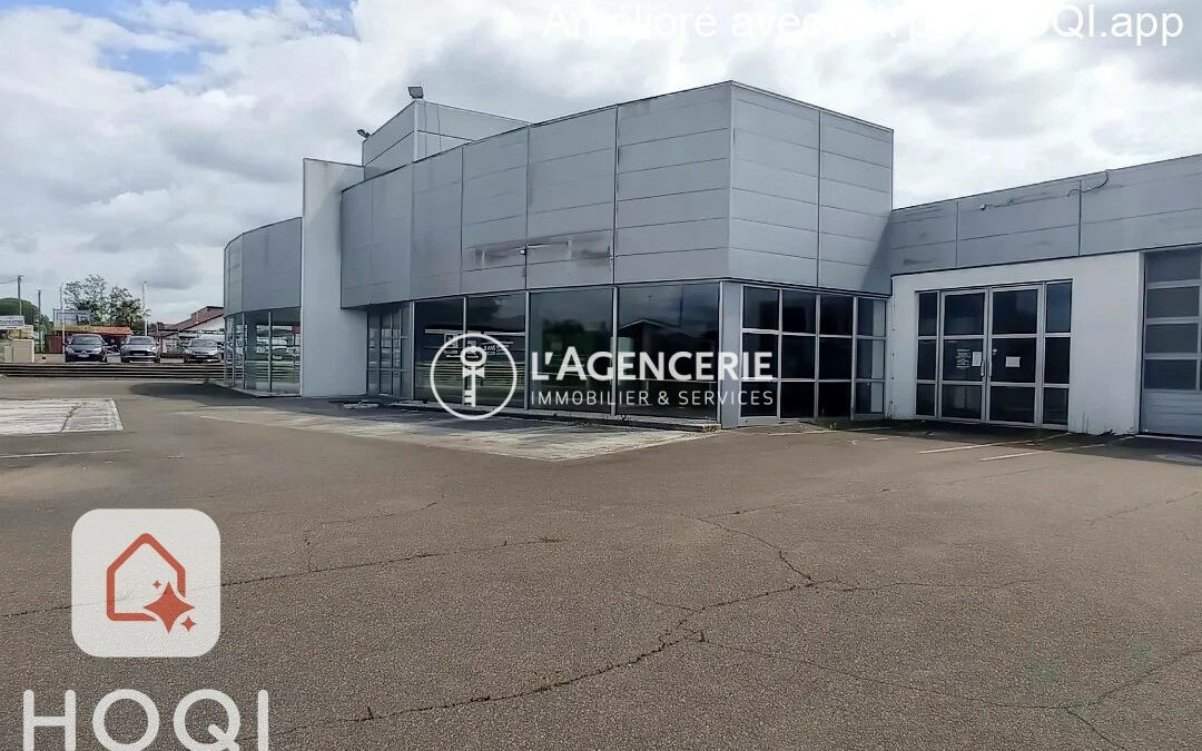 Immobilier Professionnel à vendre Narrosse