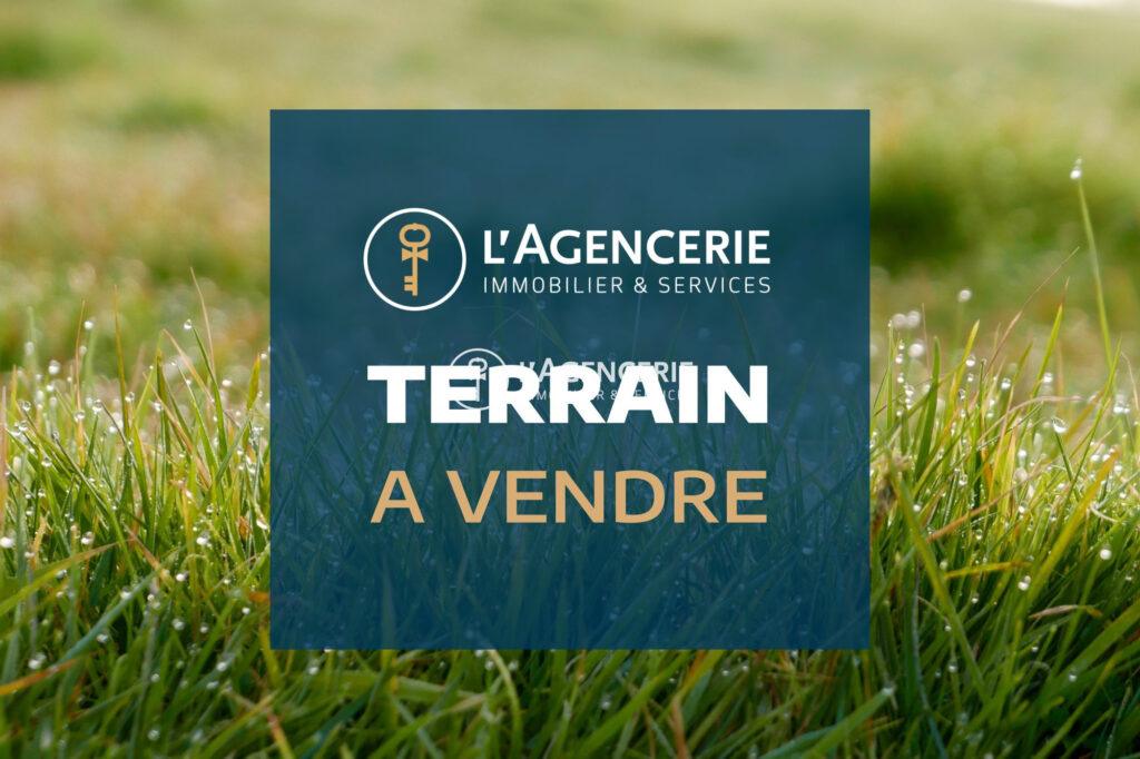 Terrain